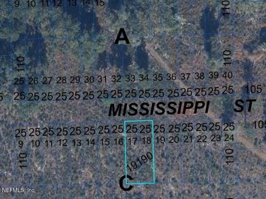 000 MISSISSIPPI Street, Hawthorne, FL 32640