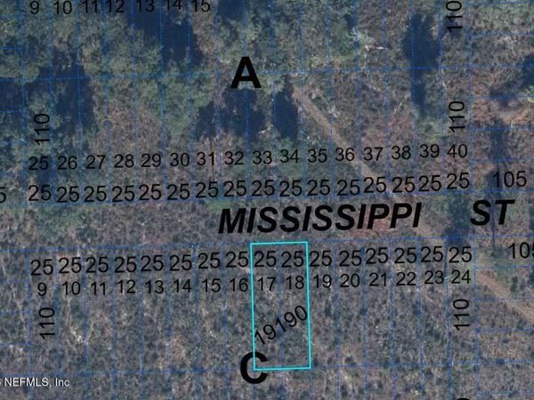 000 MISSISSIPPI Street, Hawthorne, FL 32640