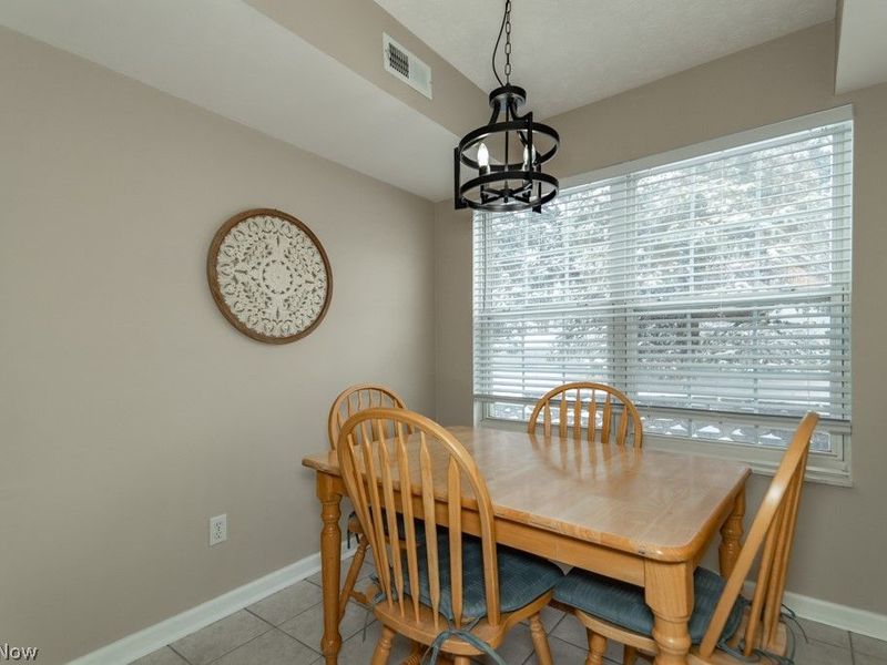 8697 Kingfisher Lane, Macedonia, OH 44056 Photo 7