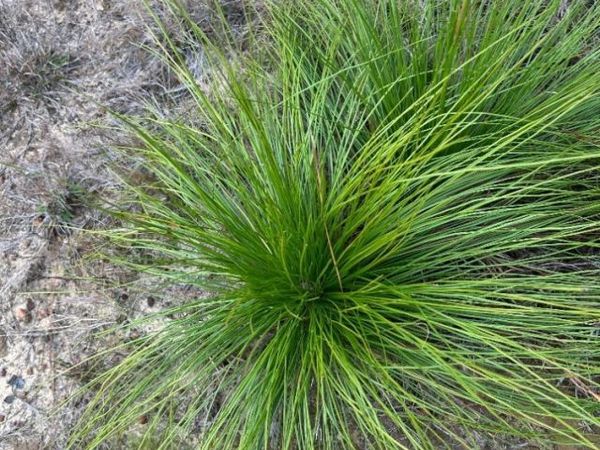 0 US Highway 29, Brewton, AL 36426