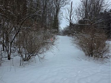 Mormon Hollow Road, Corning, NY 14830