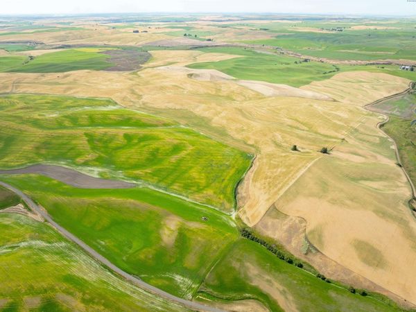 TBD Bongarts Rd, Oakesdale, WA 00000