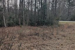 0 N Jefferies Boulevard photo 4