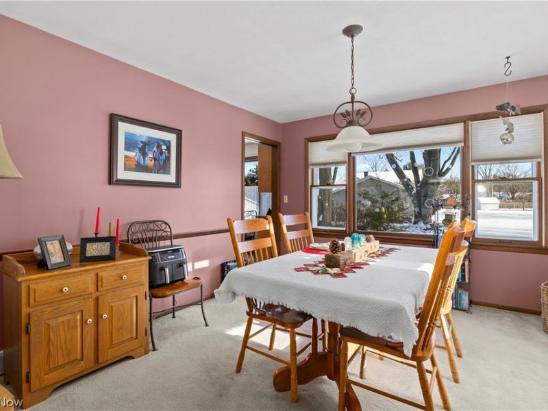 707 Lincoln Street, Amherst, OH 44001 Photo 13