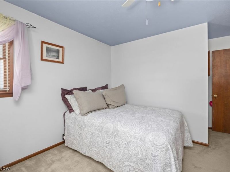 707 Lincoln Street, Amherst, OH 44001 Photo 23