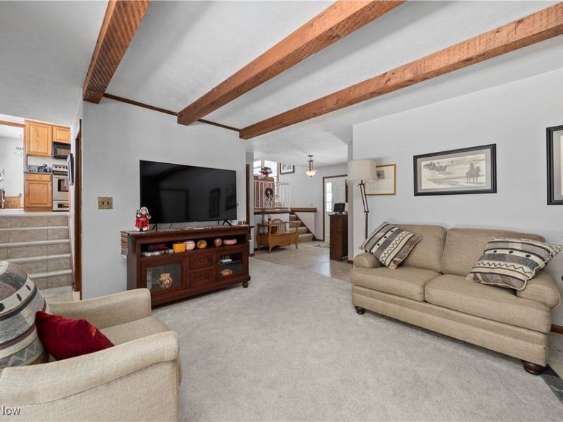 707 Lincoln Street, Amherst, OH 44001 Photo 29