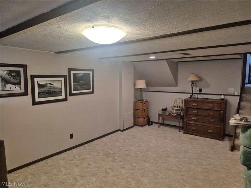 707 Lincoln Street, Amherst, OH 44001 Photo 33