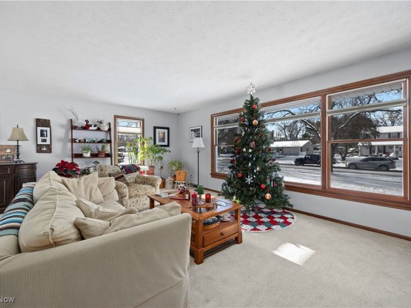 707 Lincoln Street, Amherst, OH 44001 Photo 5