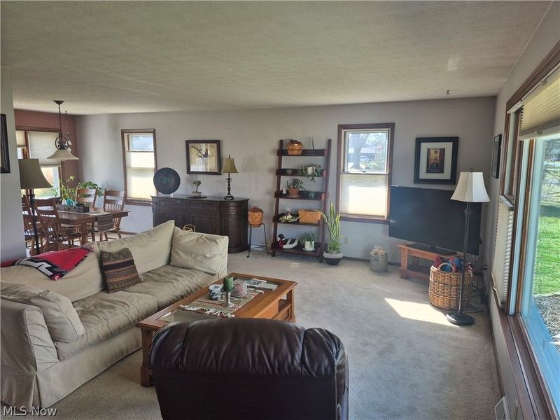 707 Lincoln Street, Amherst, OH 44001 Photo 6