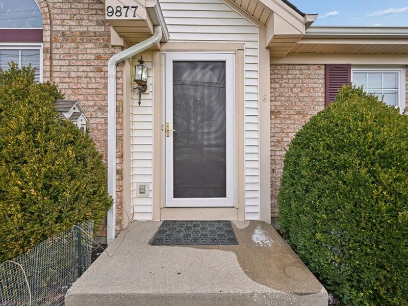 9877 Flagstone Drive, Independence, KY 41051 Photo 3