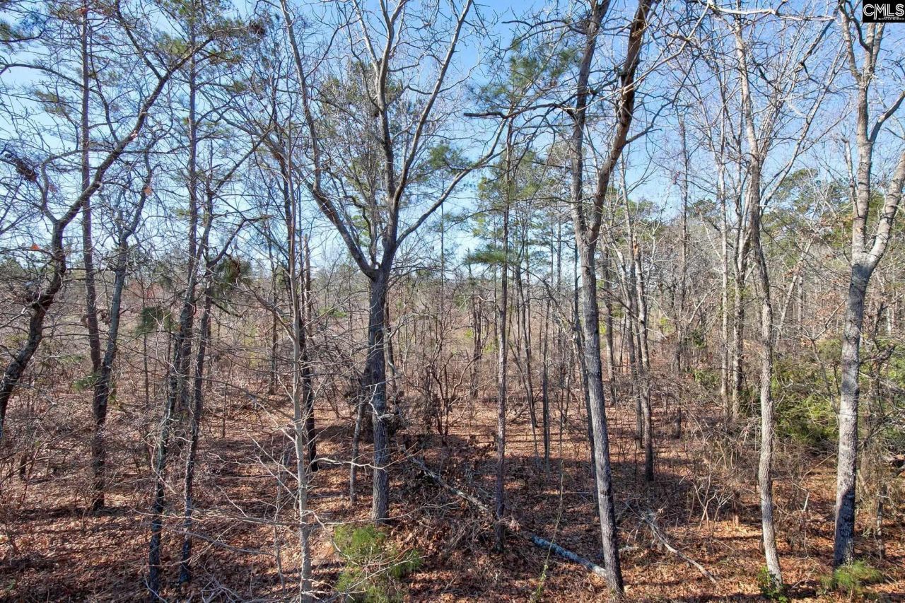 13 Crockett Drive  Photo 33