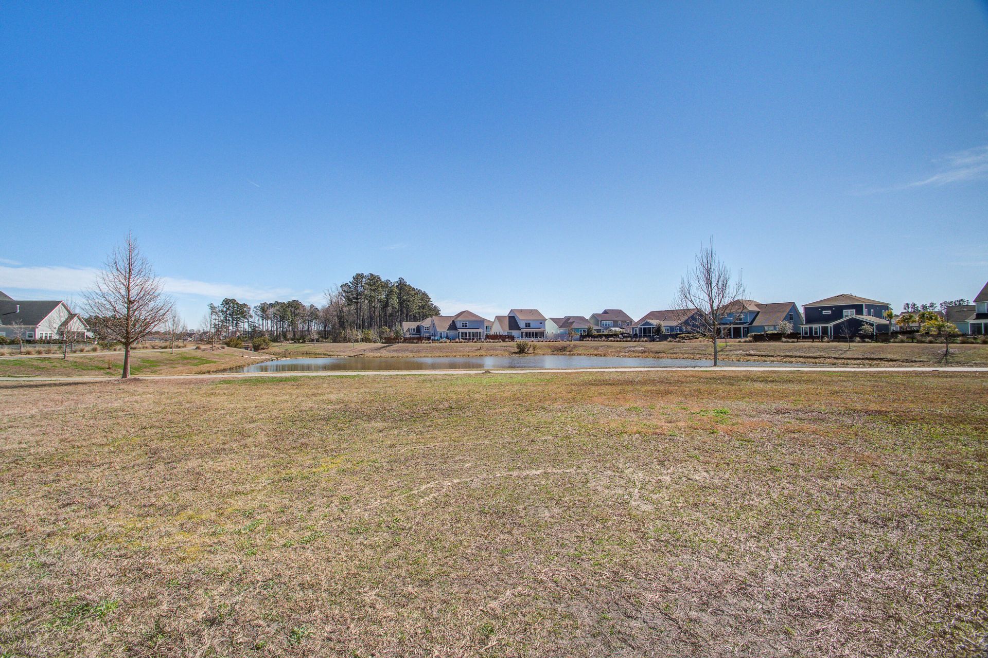 126 Clearblue Loop Photo 37