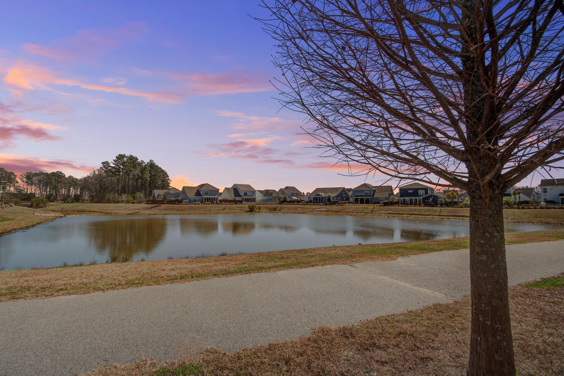 126 Clearblue Loop Photo 39