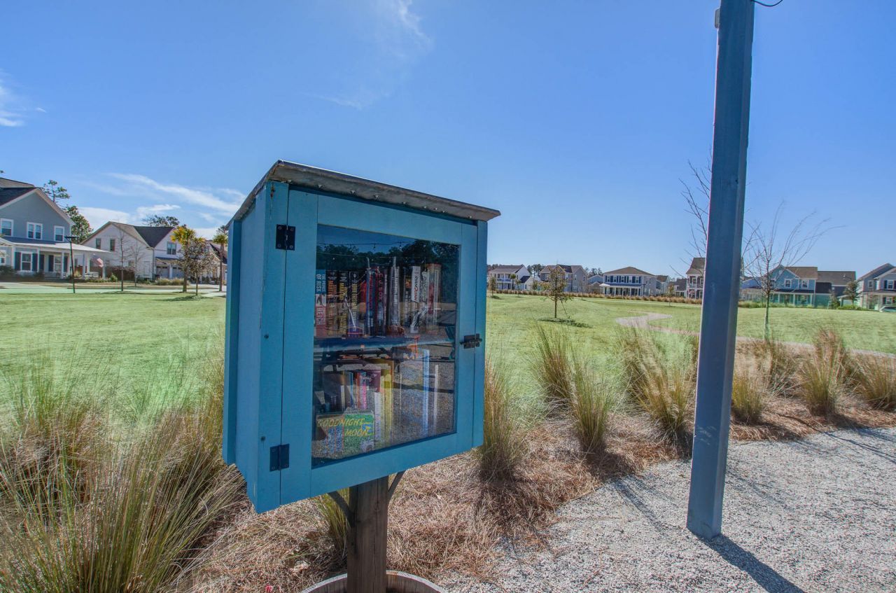 126 Clearblue Loop Photo 46