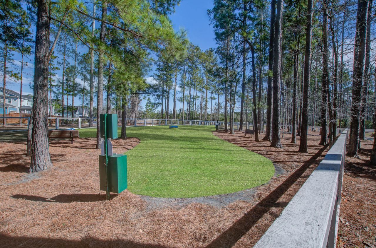 126 Clearblue Loop Photo 49