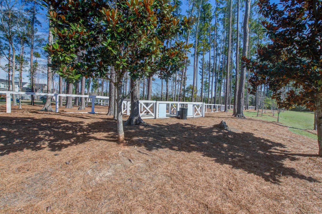 126 Clearblue Loop Photo 50