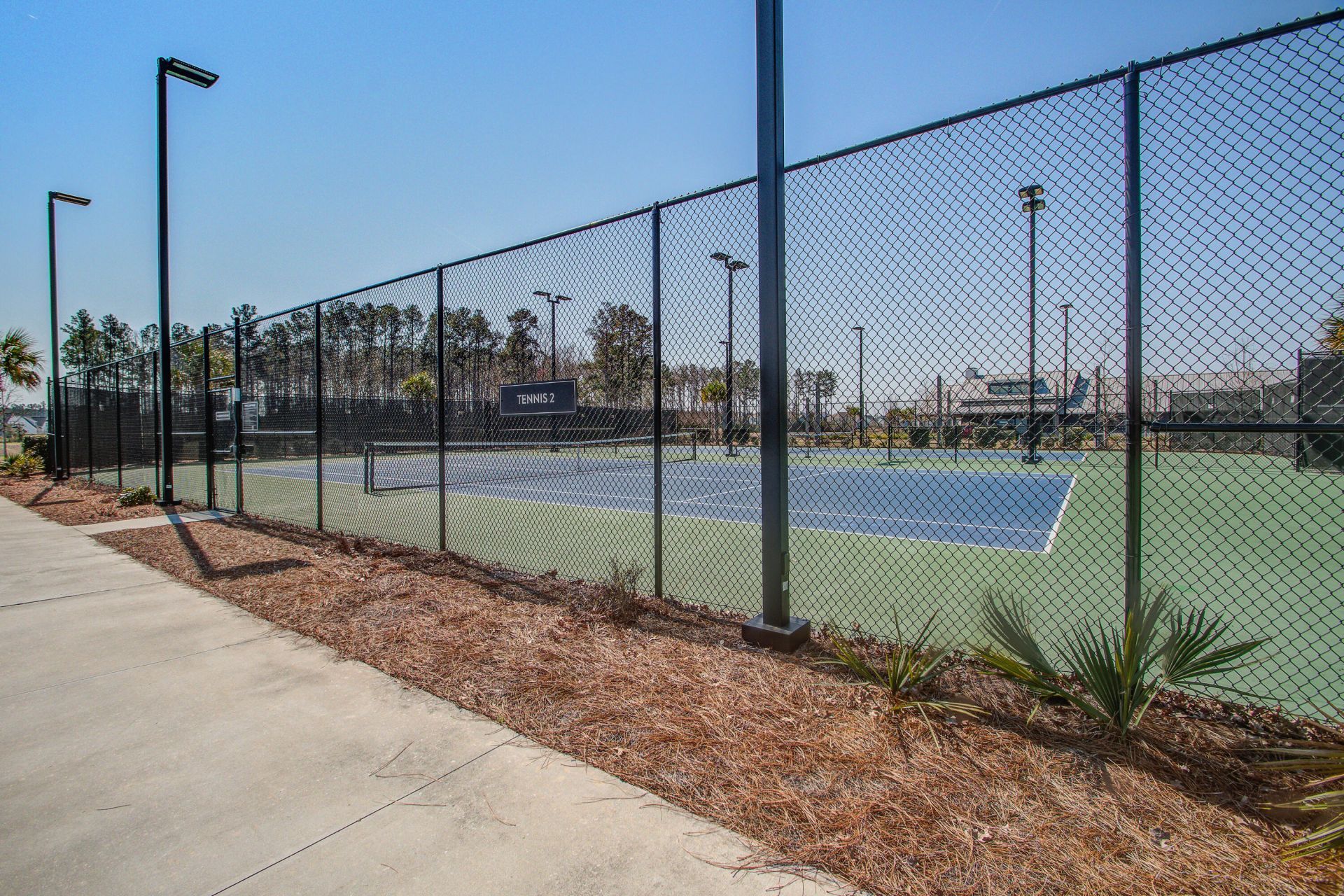 126 Clearblue Loop Photo 58