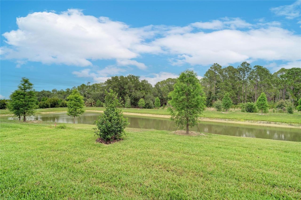 8834 Eastwyck Drive, Parrish, FL 34219 Photo