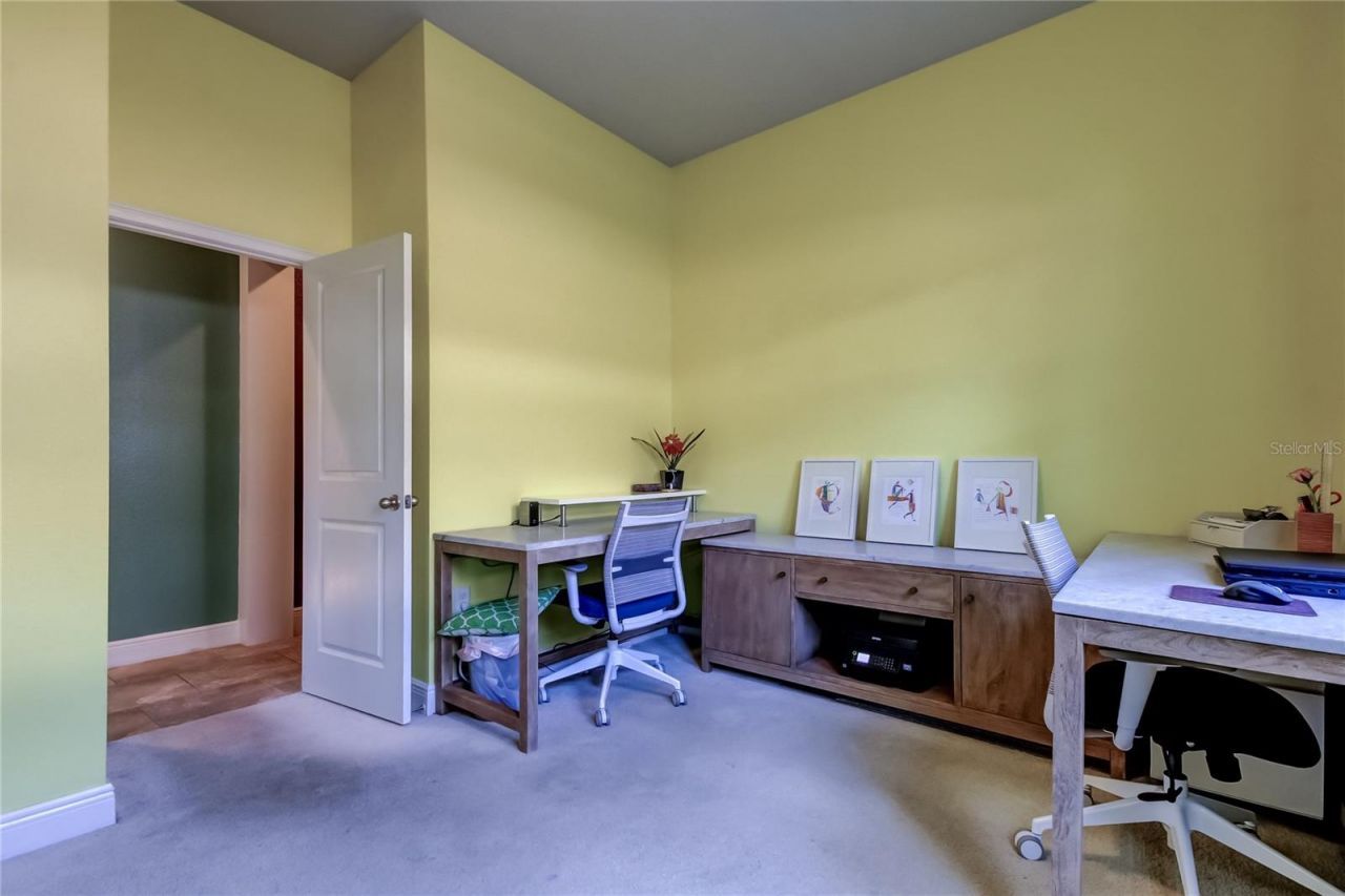 11403 Quiet Forest Drive, Tampa, FL 33635 Photo