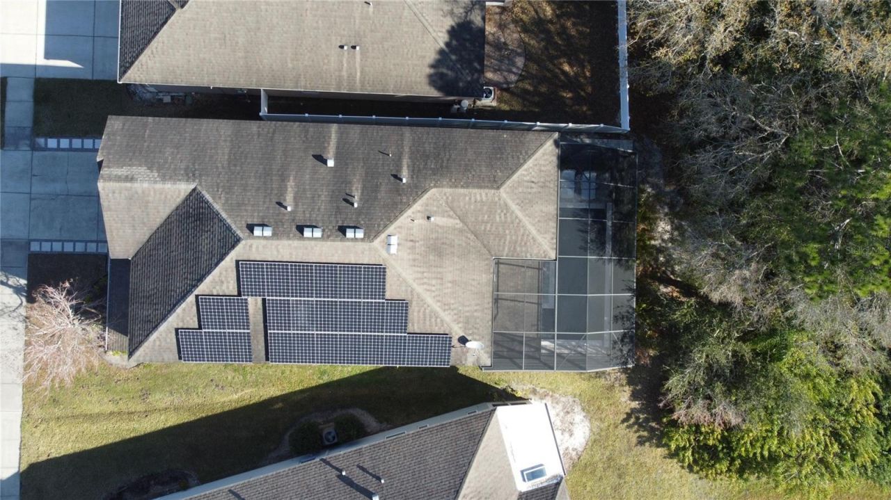 11403 Quiet Forest Drive, Tampa, FL 33635 Photo