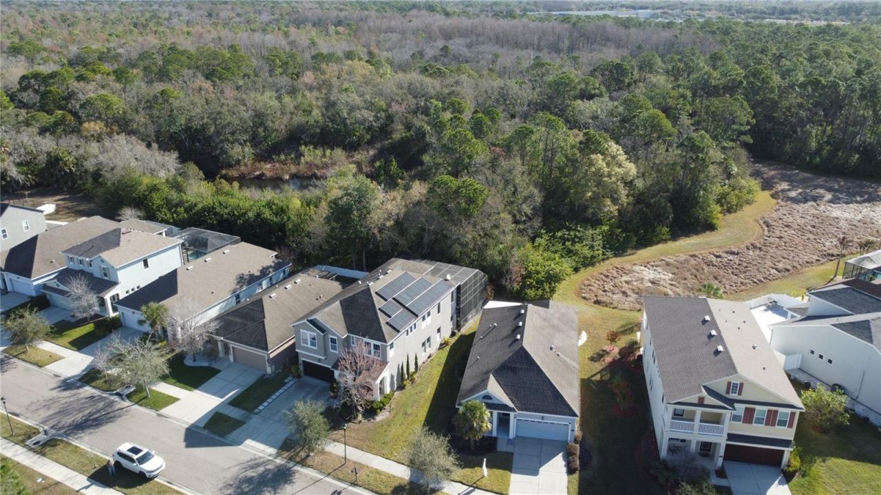 11403 Quiet Forest Drive, Tampa, FL 33635 Photo