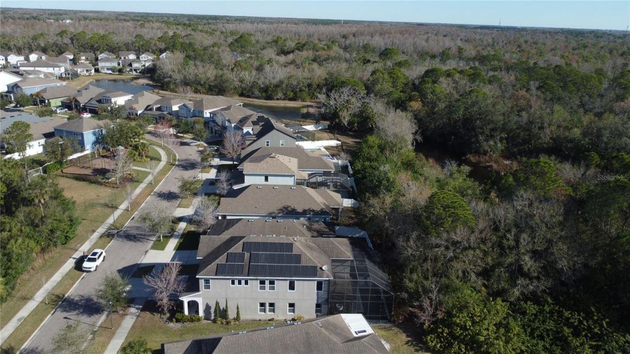 11403 Quiet Forest Drive, Tampa, FL 33635 Photo