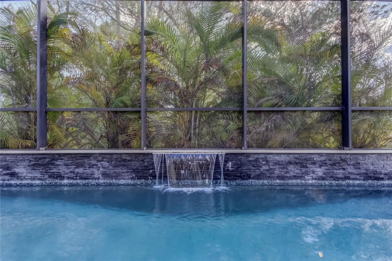 11403 Quiet Forest Drive, Tampa, FL 33635 Photo