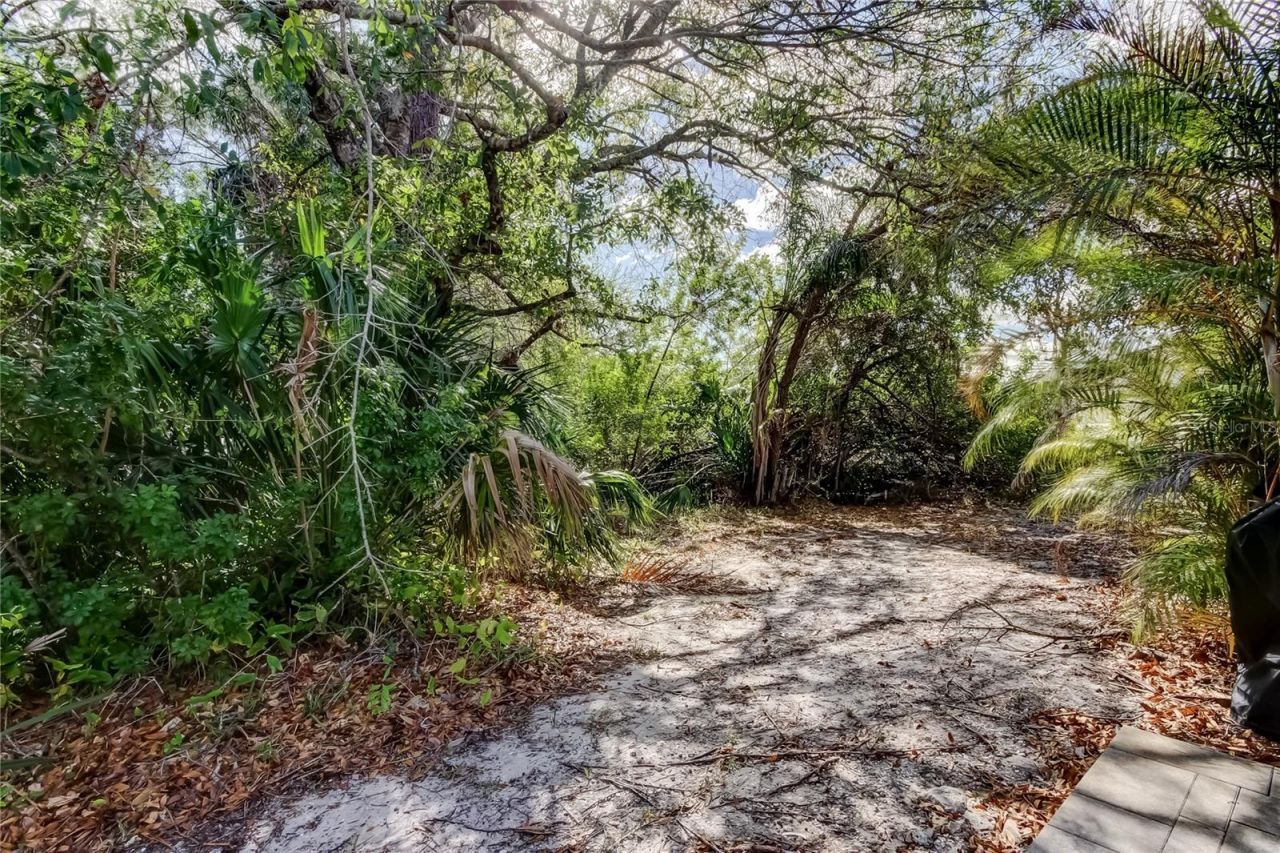 11403 Quiet Forest Drive, Tampa, FL 33635 Photo