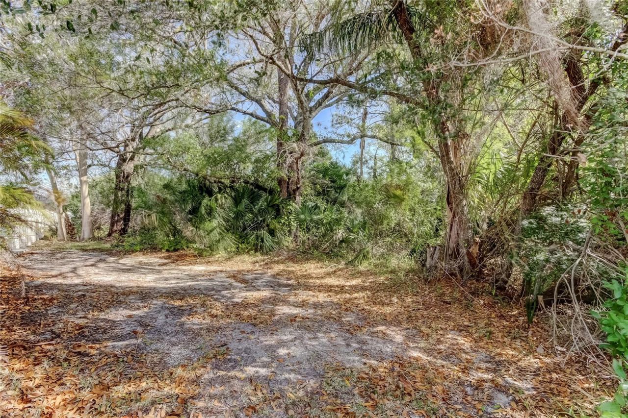 11403 Quiet Forest Drive, Tampa, FL 33635 Photo