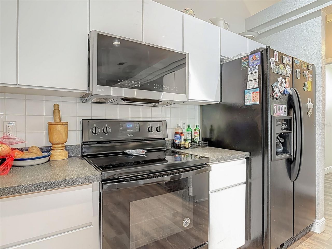 15271 SE 24th Street Road , Ocklawaha, FL 32179 Photo