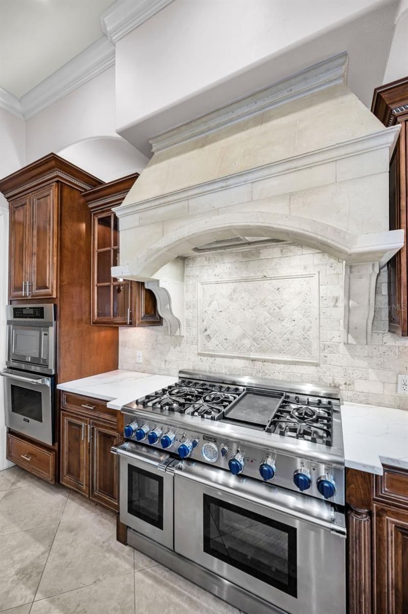 9933 Milano Drive, Trinity, FL 34655 Photo