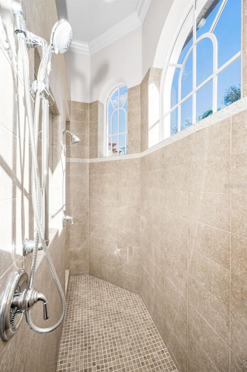 9933 Milano Drive, Trinity, FL 34655 Photo