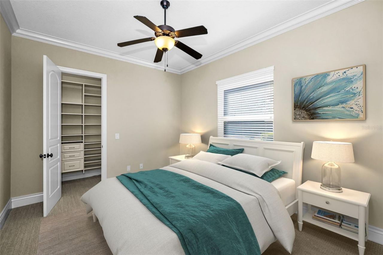 9933 Milano Drive, Trinity, FL 34655 Photo