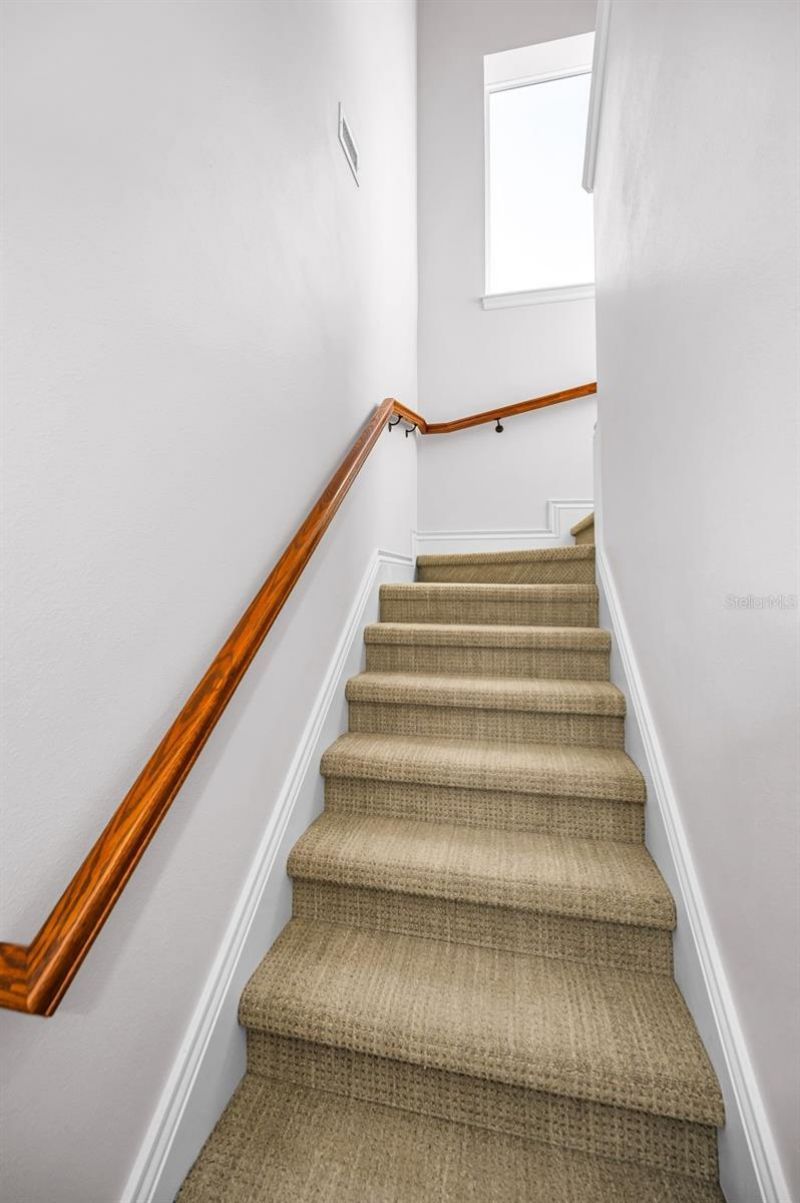 9933 Milano Drive, Trinity, FL 34655 Photo