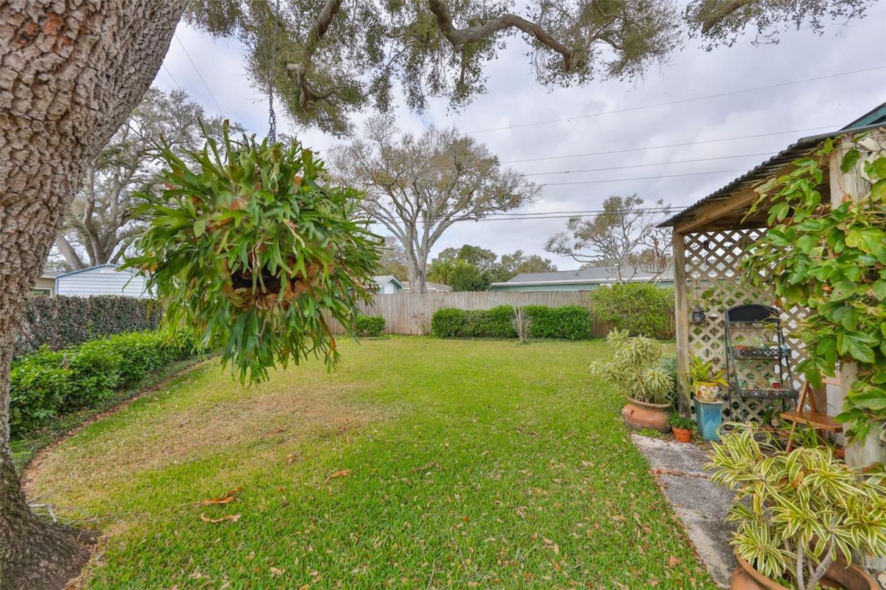 6728 19th Street N, Saint Petersburg, FL 33702 Photo