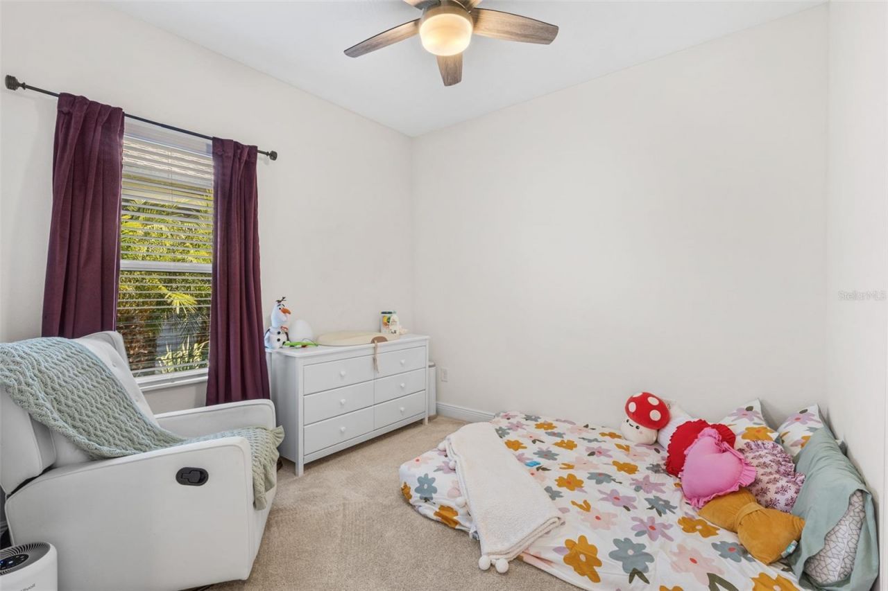 10934 Sand Pine Lane, Parrish, FL 34219 Photo