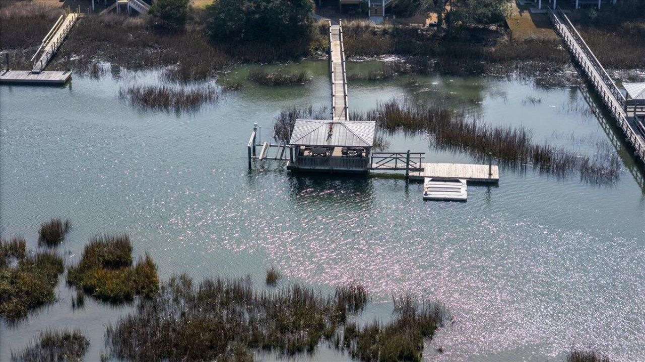 308 Jungle Shores Drive Photo 65