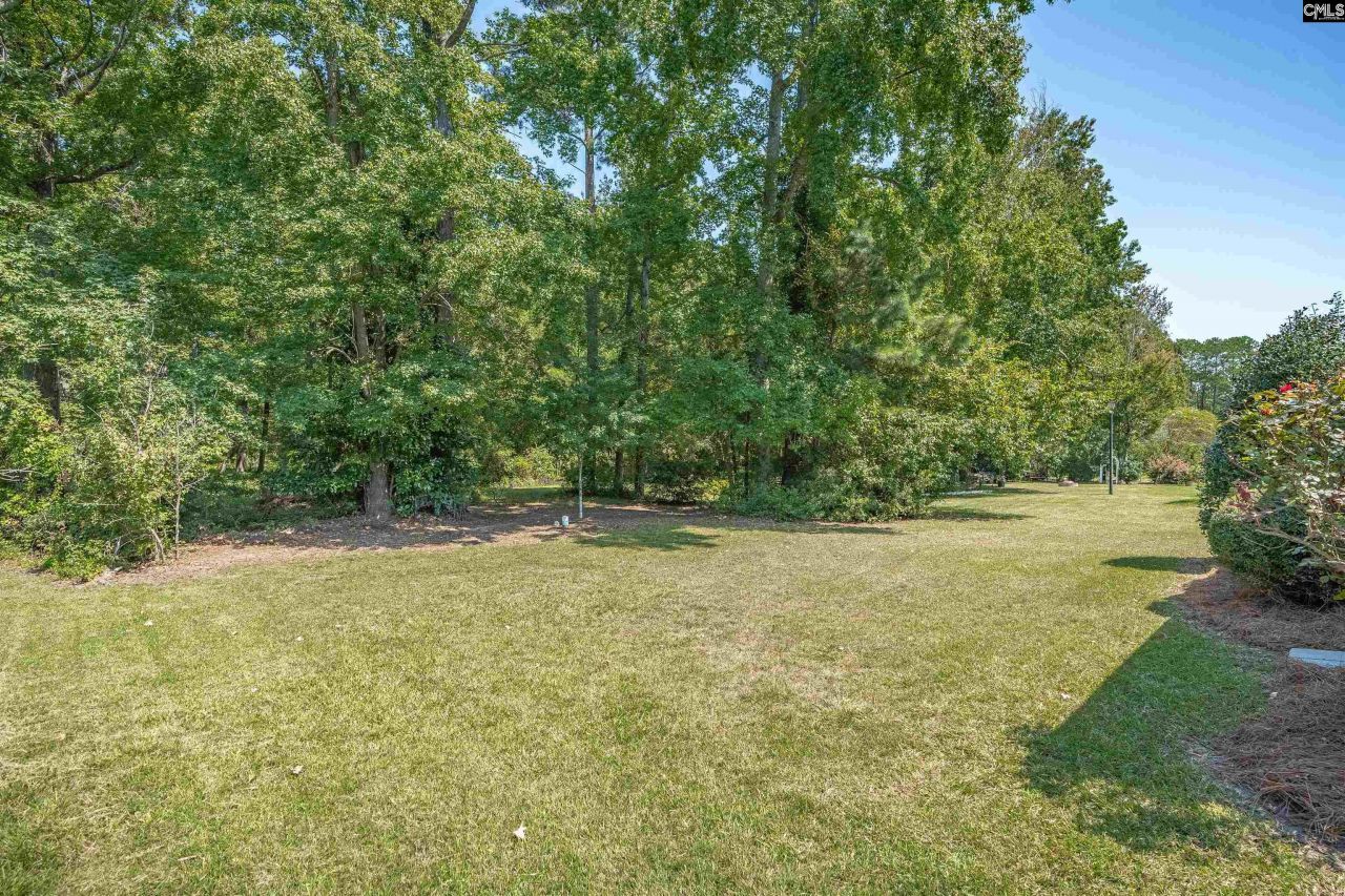 114 Mallard Landing Way Photo 30