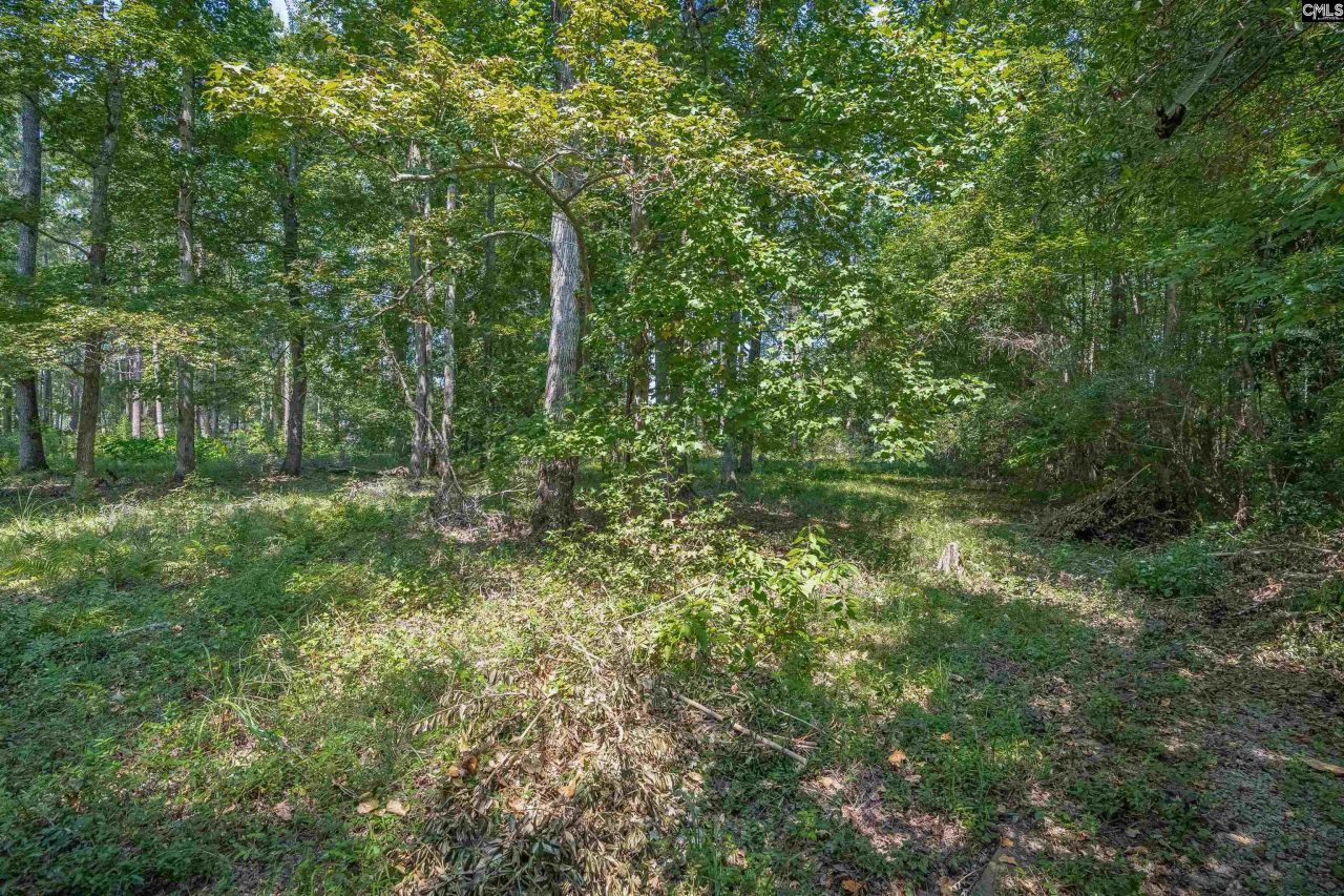 114 Mallard Landing Way Photo 31