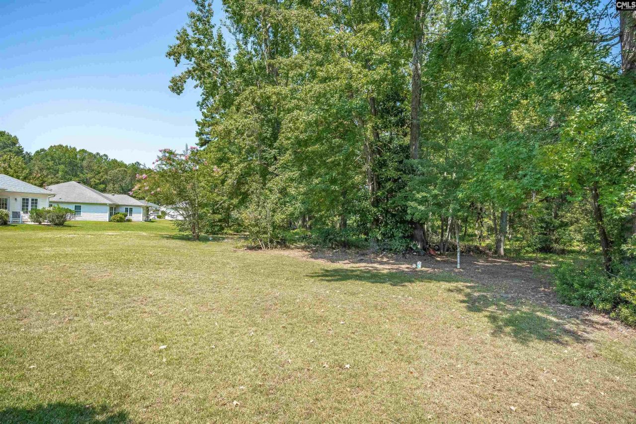 114 Mallard Landing Way Photo 33