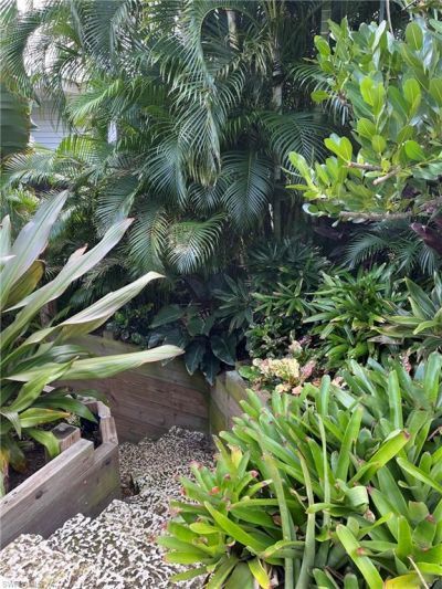 105 Useppa, Captiva, FL 33924 Photo