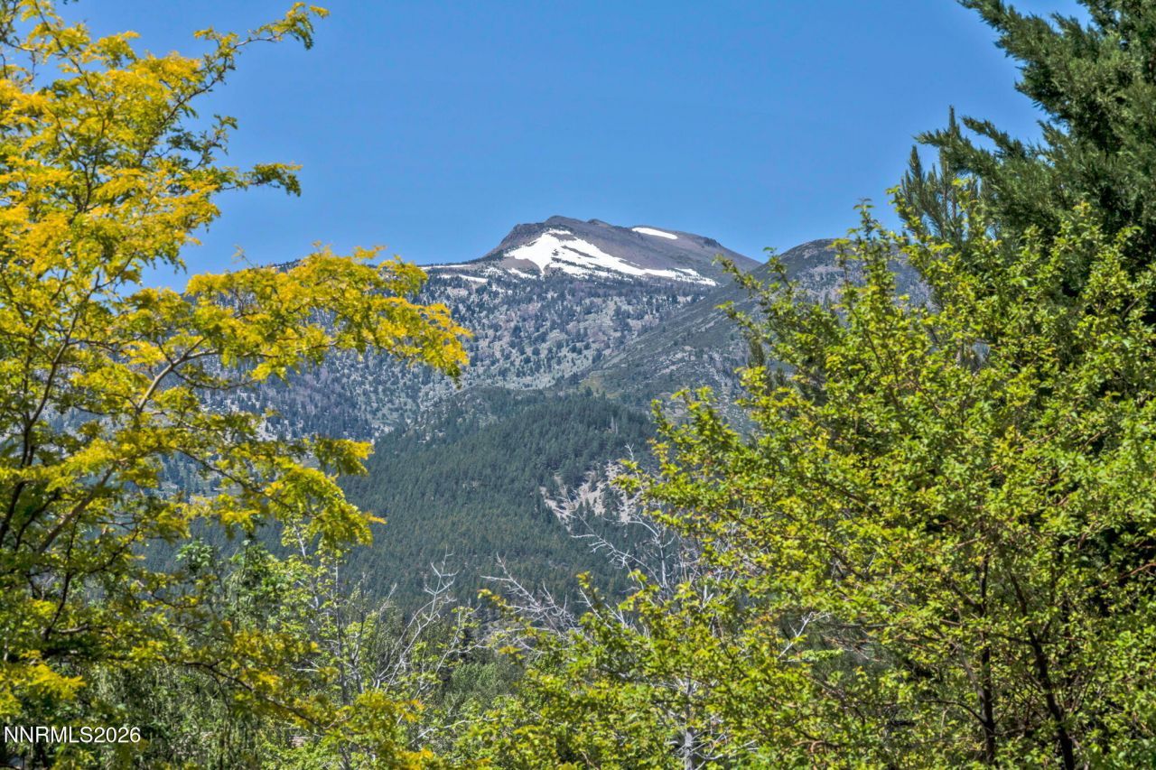 5808 Tannerwood Drive, Reno, NV 89511 Photo