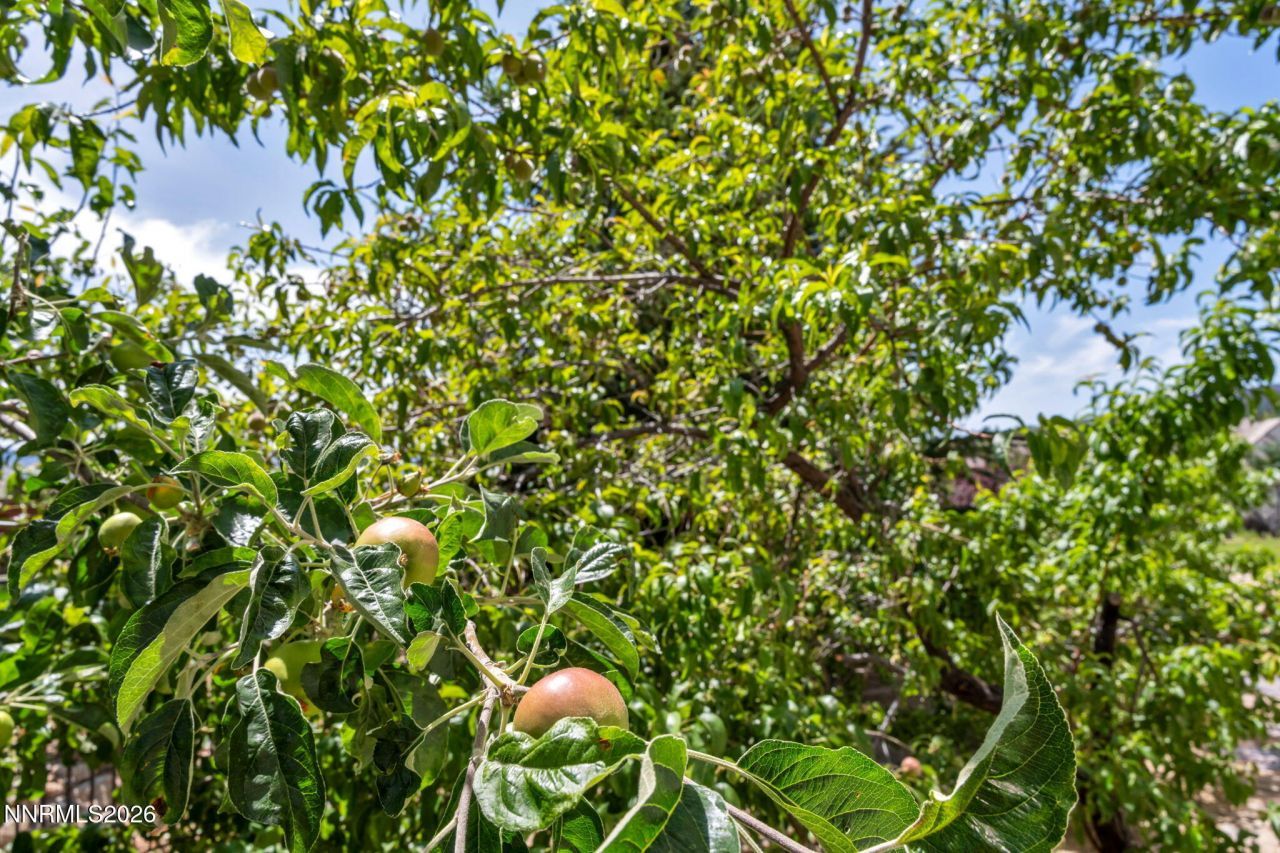 5808 Tannerwood Drive, Reno, NV 89511 Photo