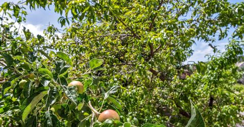 5808 Tannerwood Drive, Reno, NV 89511 Photo