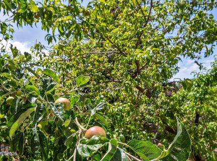 5808 Tannerwood Drive, Reno, NV 89511 Photo