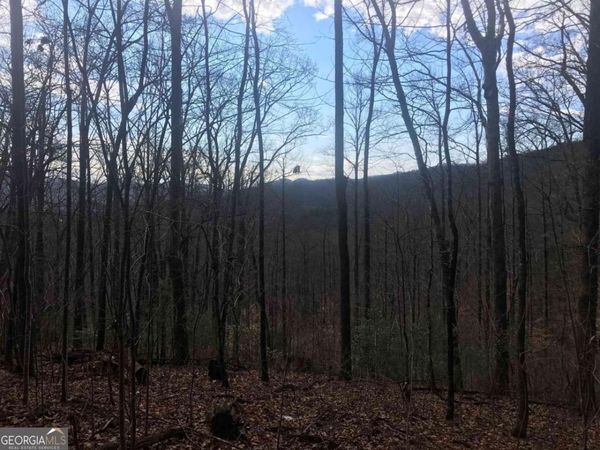 0 Shadow Mountain, Dillard, GA 30537