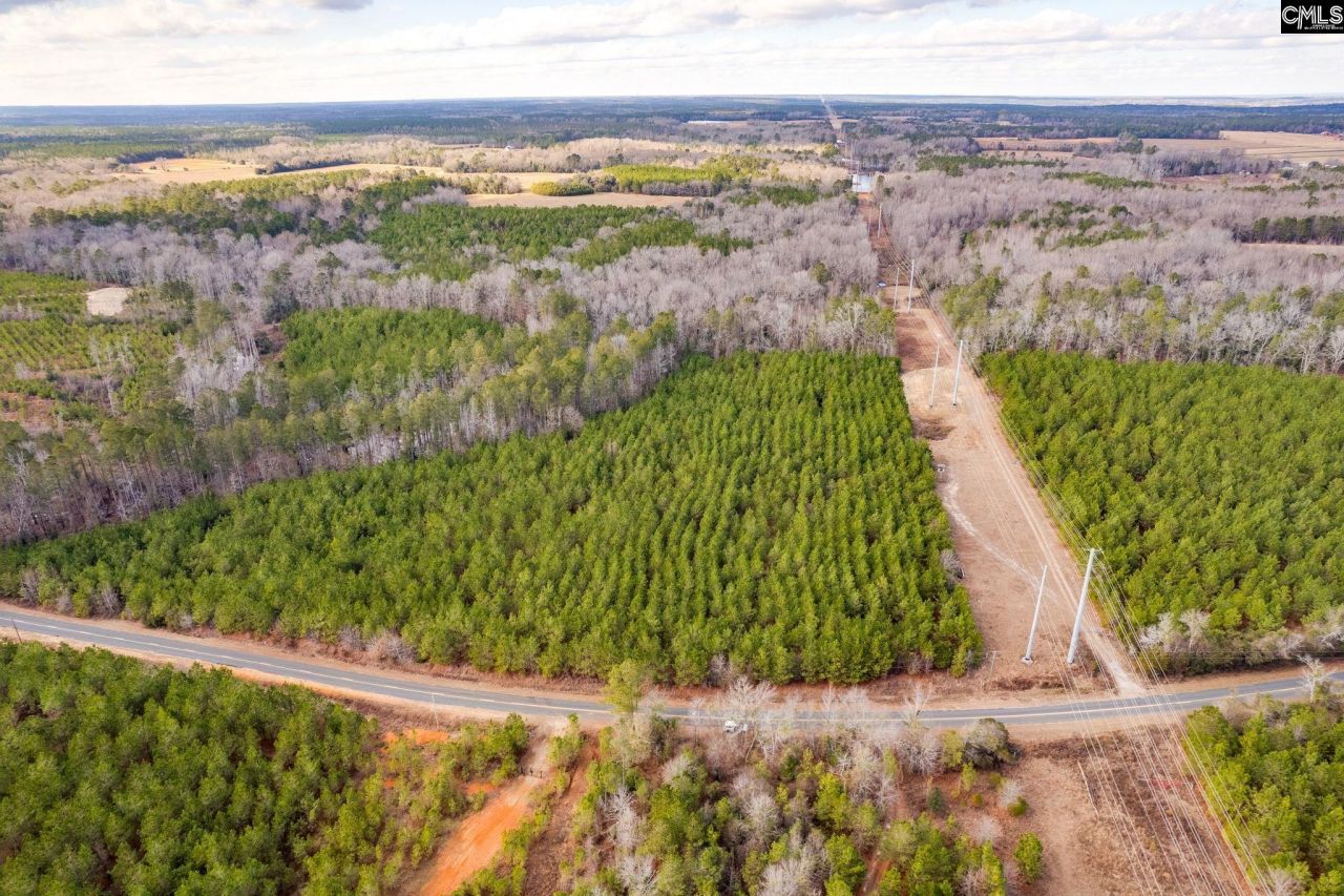 Tbd Catalina Blvd Lot 17  Photo 7