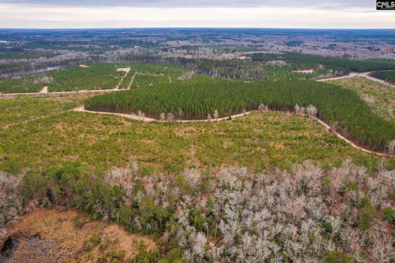 Tbd Catalina Blvd Lot 16  Photo 16