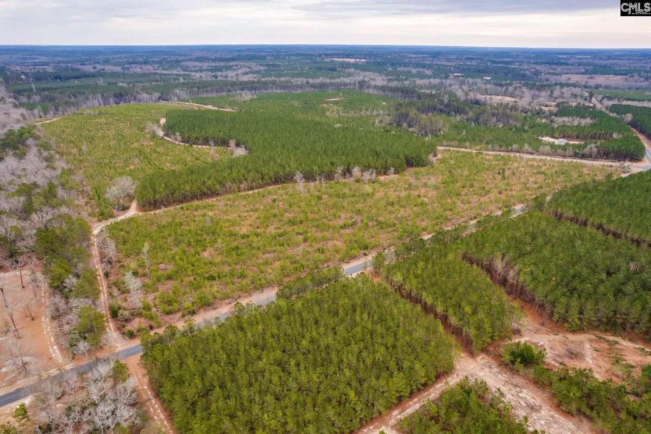 Tbd Catalina Blvd Lot 16  Photo 18