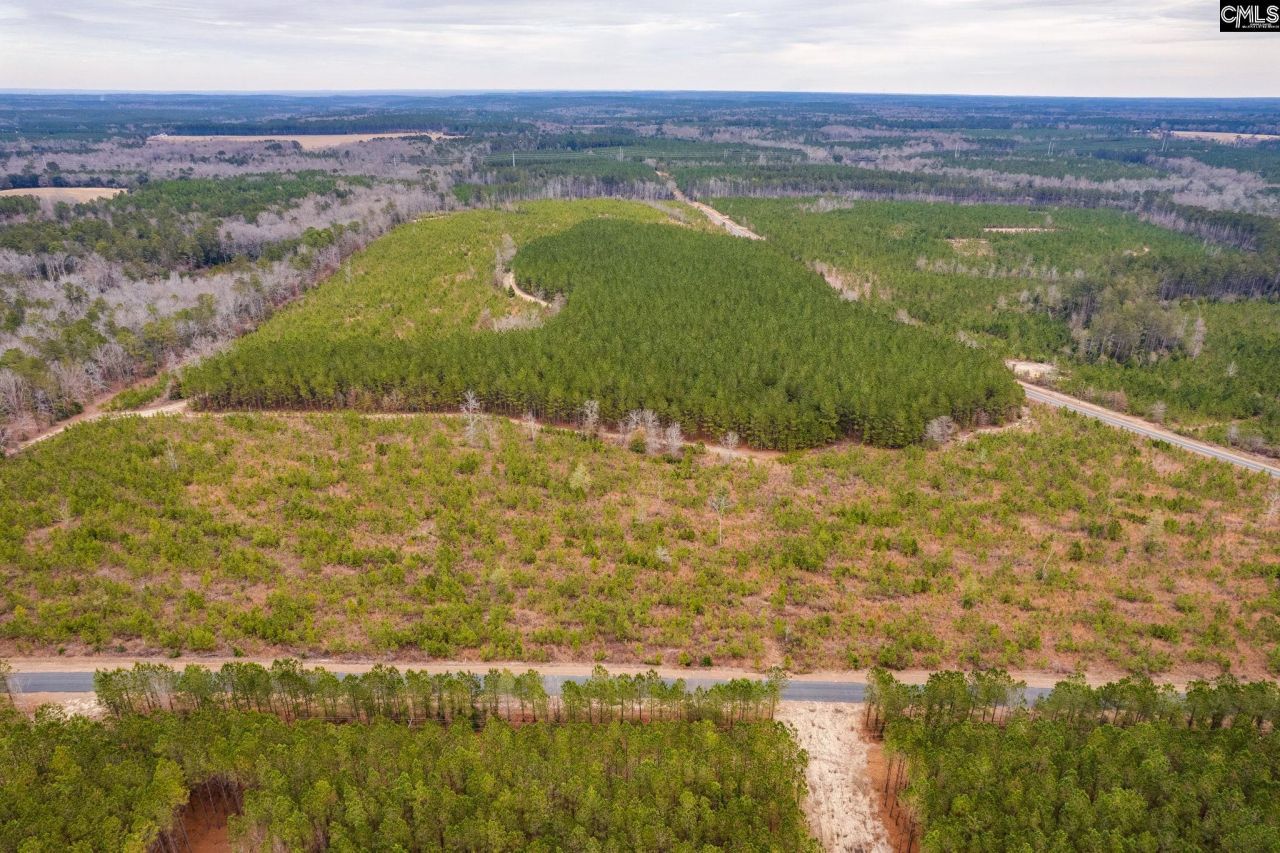 Tbd Catalina Blvd Lot 15  Photo 19